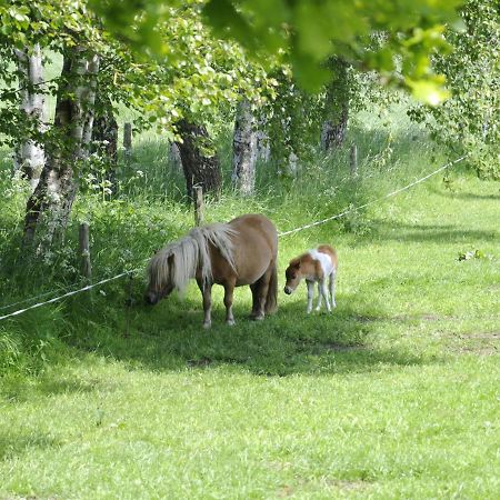 Beautiful Holiday Home In Heeten With Private Garden Eksteriør bilde